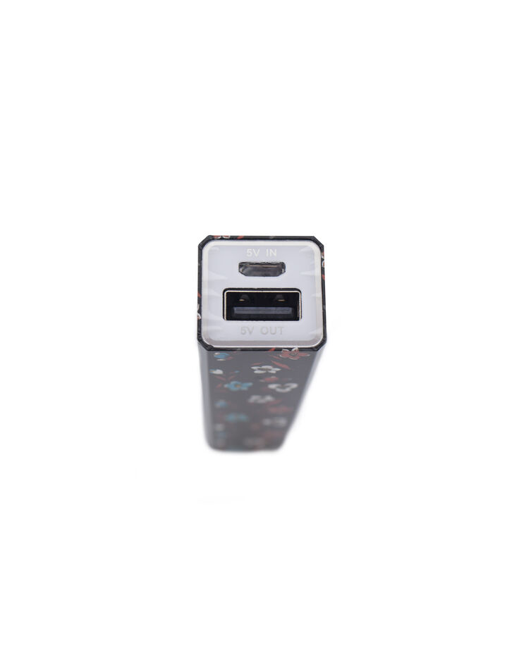 Chargeur nomade I.Code-2