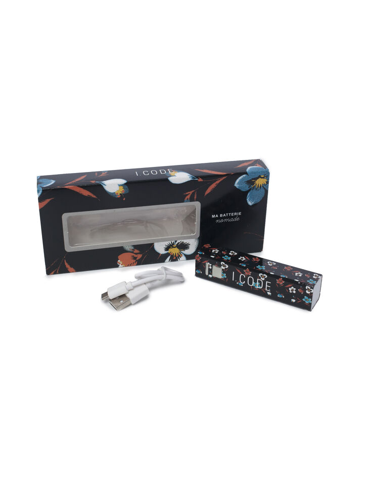 Chargeur nomade I.Code-1