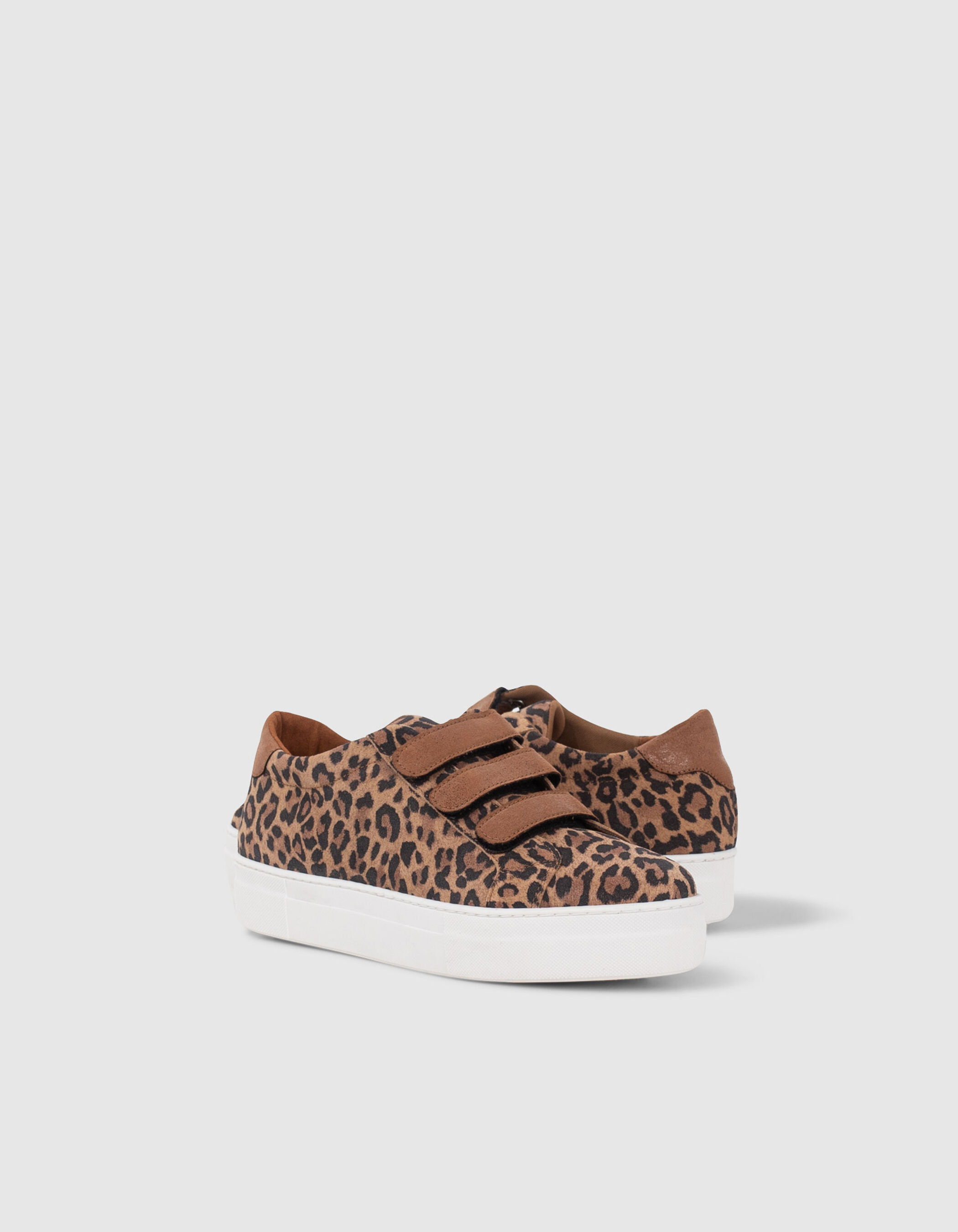 Basket 2025 leopard scratch