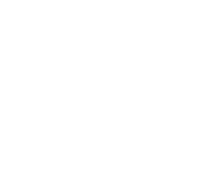 collection green-friday icode