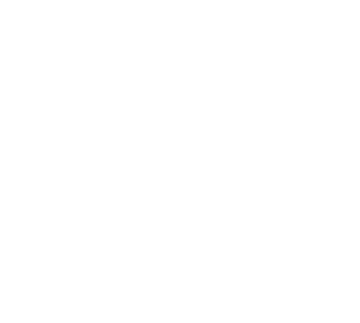 collection green-friday icode