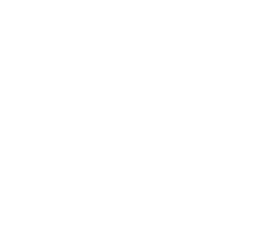 collection green-friday icode